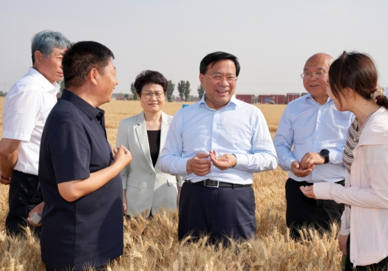 韩俊在河南河北调研时强调 扎实推进粮油作物大面积单产提升行动 全力以赴夯实全年粮食丰收基础
